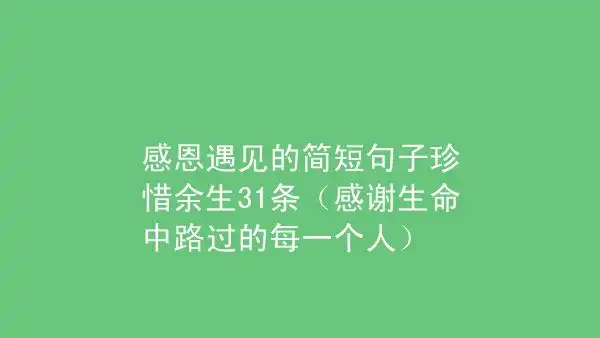 感恩遇见的简短句子珍惜余生31条感谢生命中路过的每一个人