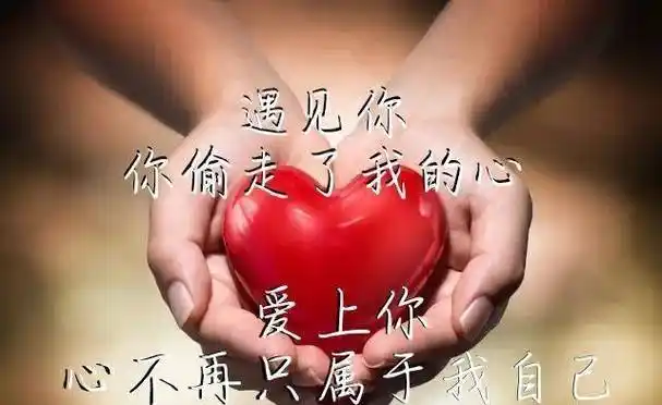 你偷走了我的心;想你,爱不是两三天,想不是在某个瞬间_一个人_真爱