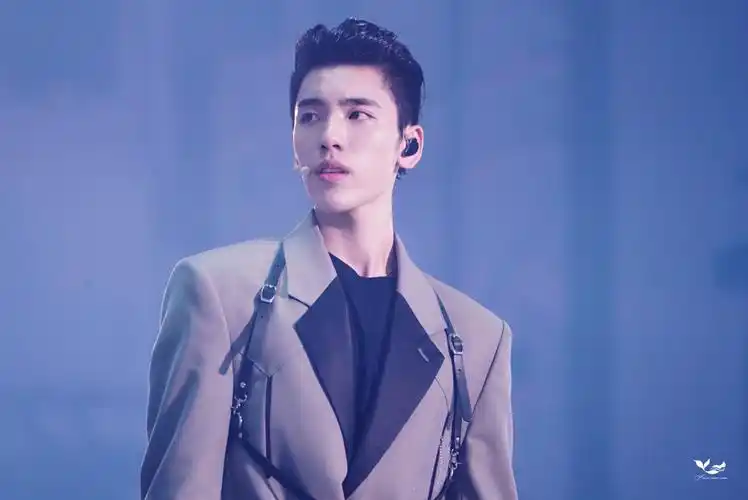 王子异 ninepercent解散演唱会 - 堆糖,美图壁纸兴趣社区