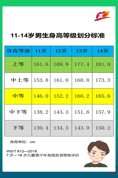 儿童青少年身高增长规律及饮食建议
