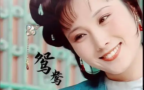 【87版红楼梦|鸳鸯】名唤鸳鸯,终未成双|台词向