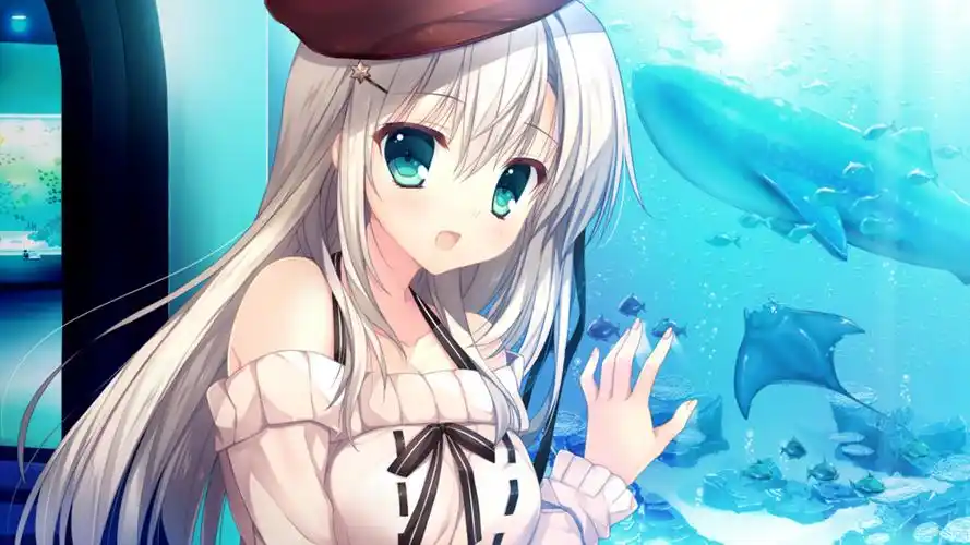 原图你的电脑分辨率(1600x1600)→生成壁纸显示:√欣赏模式全屏模式