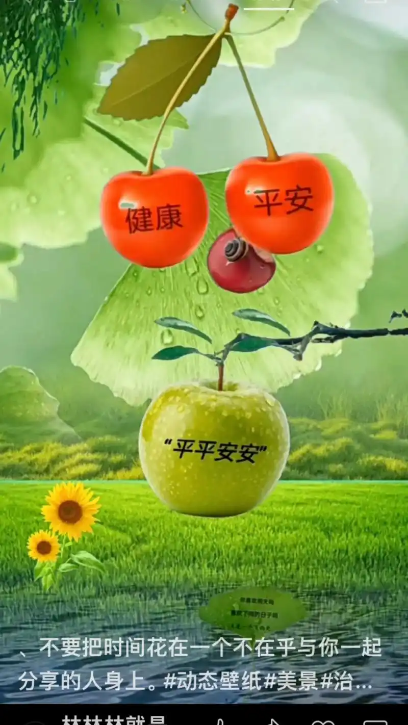 动态壁纸#美景#治. 平安 "平平安安" - 抖音