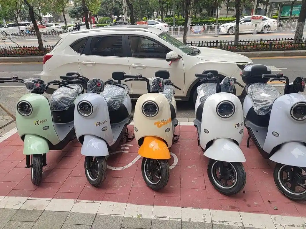 台铃电动车 2460选择了台铃萌苏,60v20a