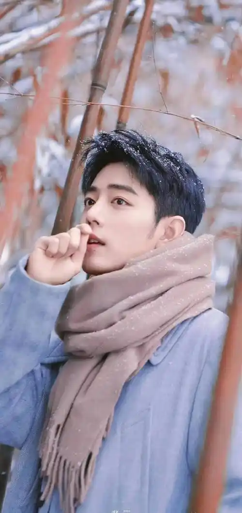 肖战竹林深处演绎时尚写真大片,少年自在如风,眼有星辰大海_围巾_最好