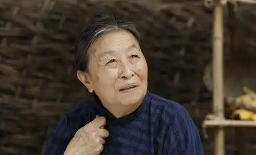 张少华新凤霞事件是怎么回事张少华抄家事件详情介绍