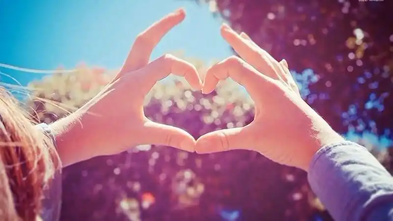 唯美又好看的女生的手图片