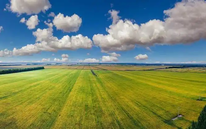 资料图:黑龙江佳木斯,三江平原,呈现出丰收景象.
