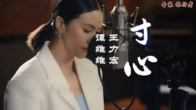 寸心 - 谭维维 王力宏(原版伴奏)