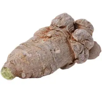 冻干三七云南文山500g田七二十头37粉20头农民自家种植宁安堡 晒干三