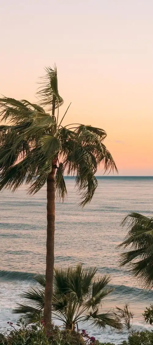 有哪些适合iphone全面屏用的惊艳高清壁纸? - 知乎