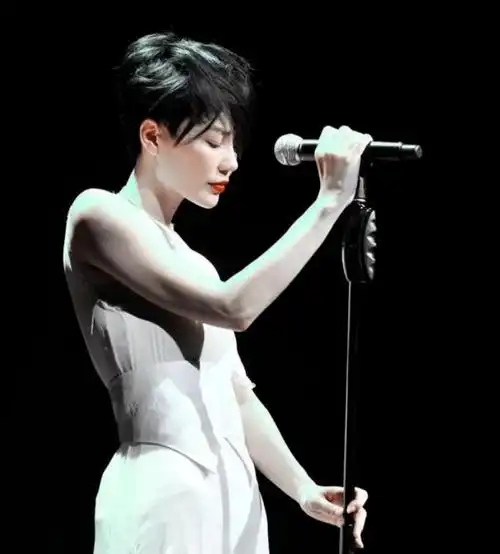 马来西亚人眼里的香港歌星排名,前五名代表,张学友只