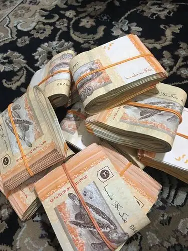 她月入rm3000 但一年内却能存超过1万!