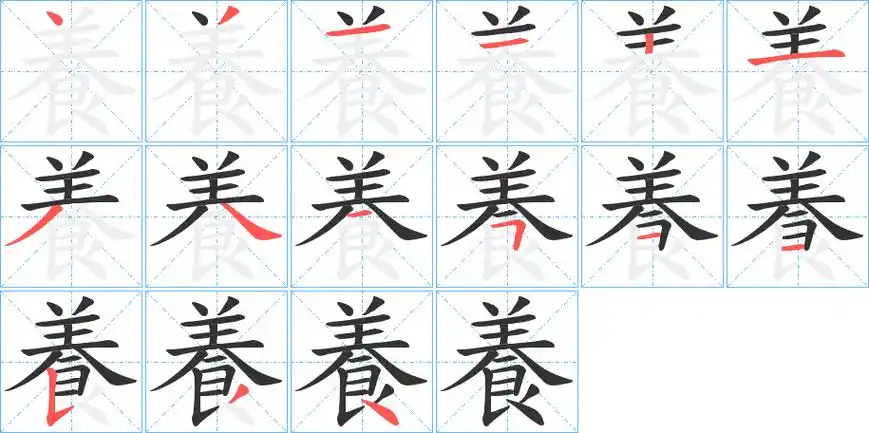养字笔顺