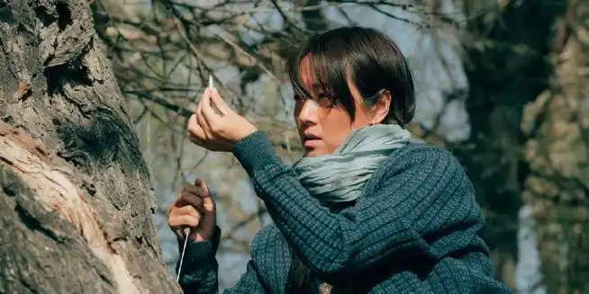 #马伊琍好野生的美#