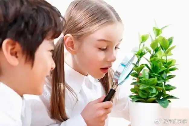 压岁钱到底算谁的?代孩子保管?还是不管?权威答案来了