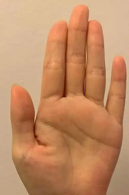 手指头长短会暴露你的性取向?以后你还敢轻易和别人握手吗