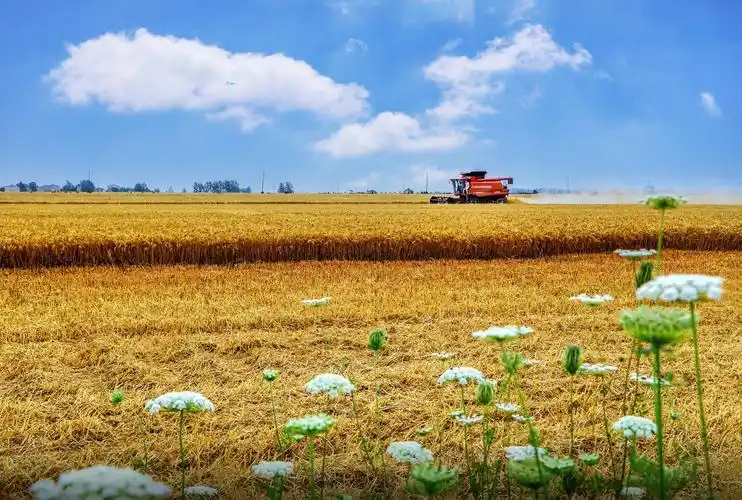 庆丰收迎盛会襄州区2022年农民丰收节优秀摄影作品展