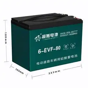 6evf80电动车电池