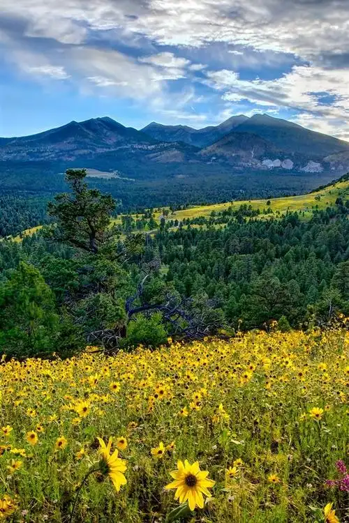 首页 自然与风景 日落和日出
