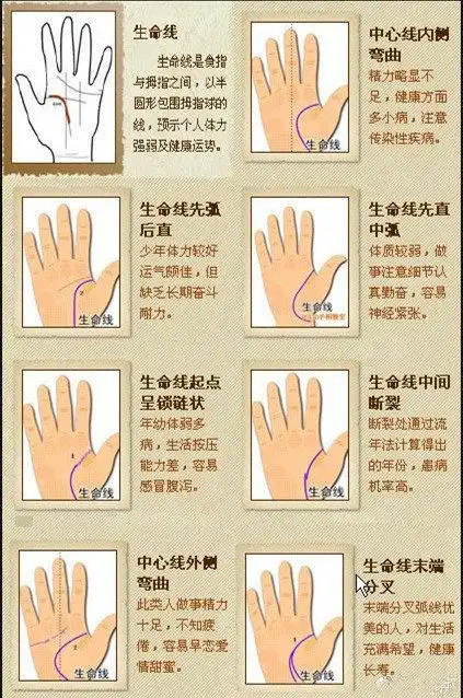 生命线透露你的身体信息九种生命线形态. 来自神秘老黄历 - 微博