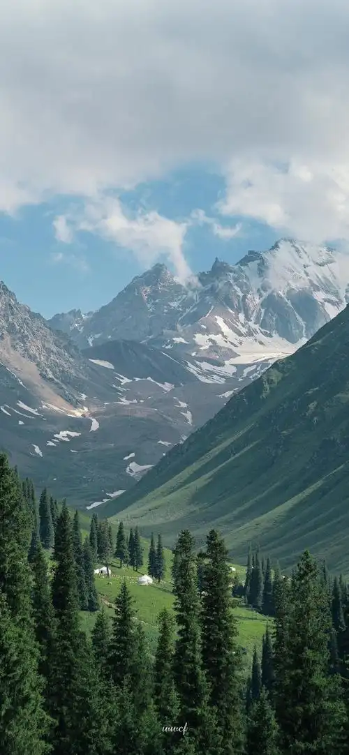 壁纸 风景 690_1493 竖版 竖屏 手机