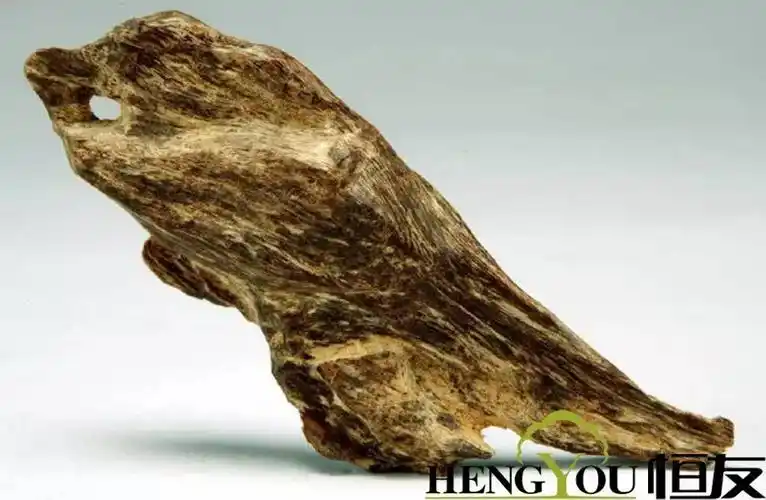 世界上最贵的木头比黄金贵几十倍