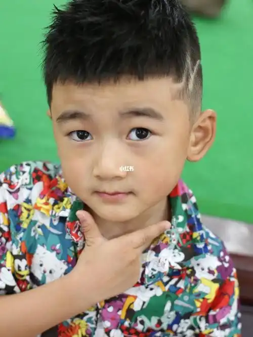 小男孩毛寸头发型小男孩毛寸发型也是很多家长比较青睐的,周边选择用