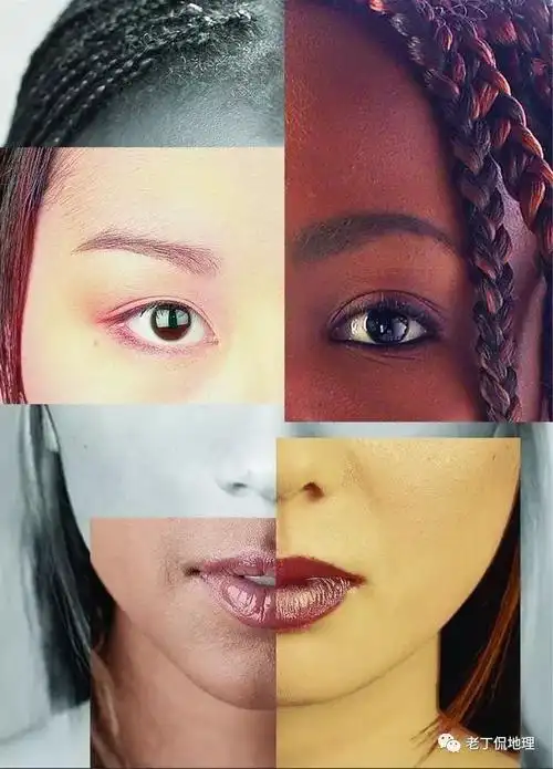 为什么黄种人拥有更高的智商与进化程度