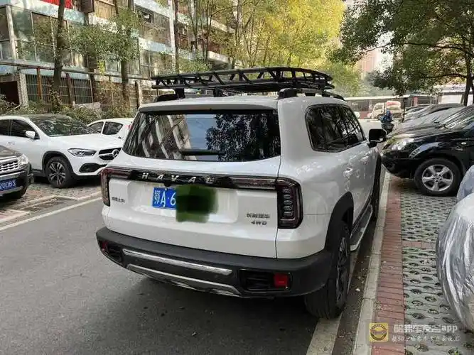 大狗加装行李架交作业_哈弗大狗论坛_哈弗车友会
