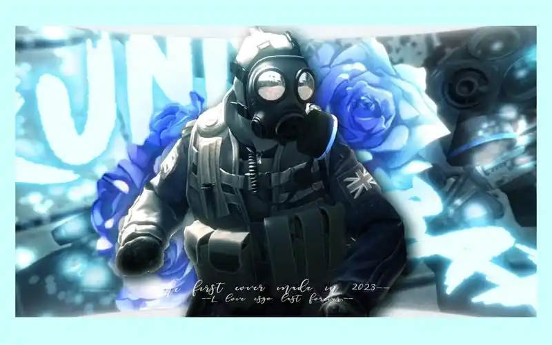 csgo 苍蝇头封面?