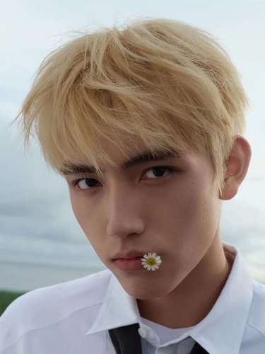 陈飞宇李峋同款假发男士发型短直发帅气学生短发米白色男生全头套