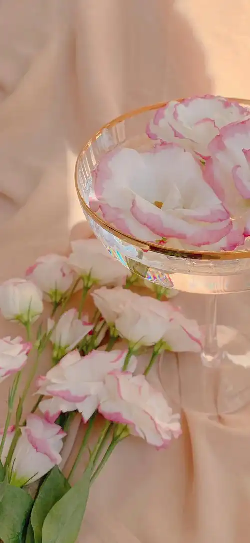 2021最潮手机壁纸最流行好看的女生iphone锁屏壁纸高清