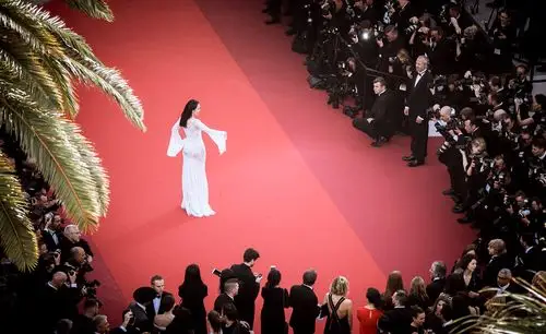 第69届戛纳国际电影节开幕式全程回顾-凤凰新闻