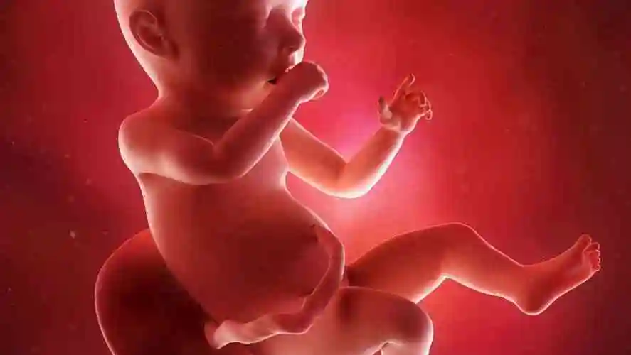 孕8周到孕10周最容易引起胎停