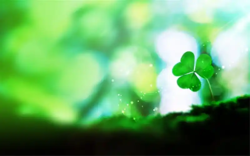 绿色护眼小清新幸运四叶草唯美高清桌面壁纸(1)