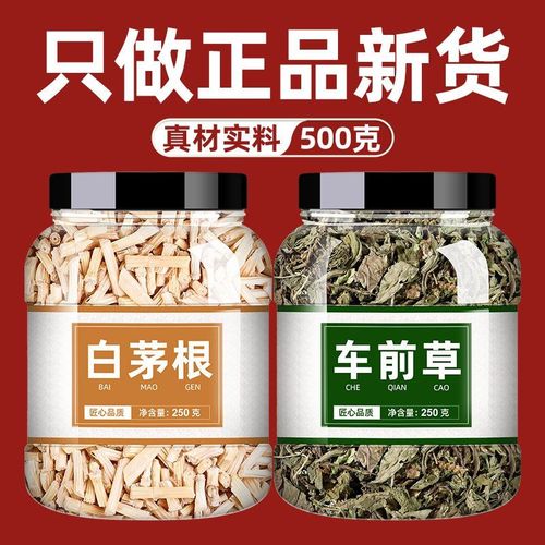 白茅根车前草白毛根干煮水干货新鲜茶包的功效中药材批发市场