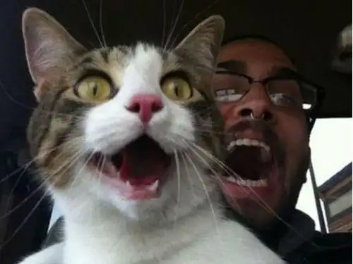 社会_好看的社会套图_高清社会图片-天极图片