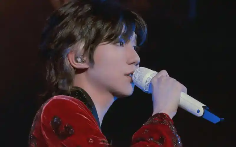 【王源】【4k】客厅狂欢巡回演唱会【世界上没有真正的感同身受】伪