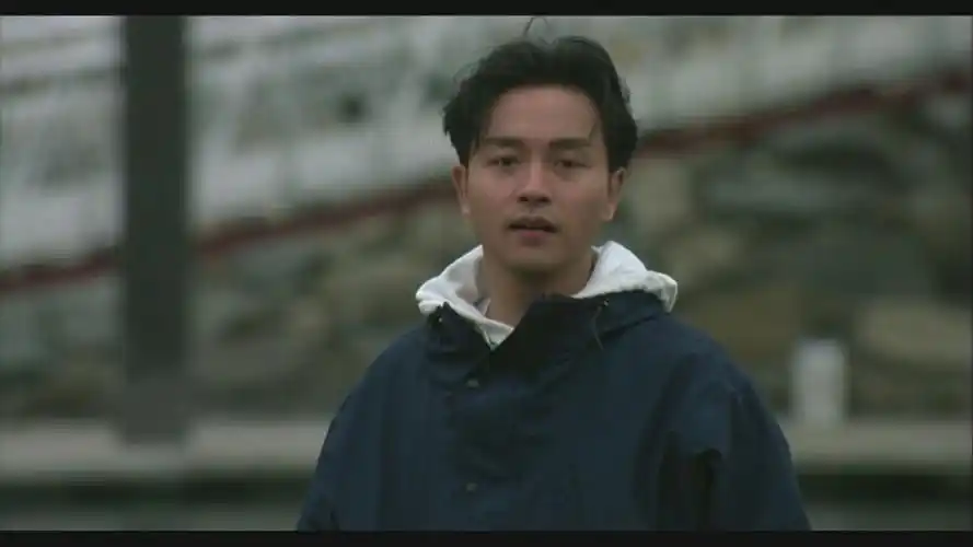 纵横四海,张国荣纵横四海