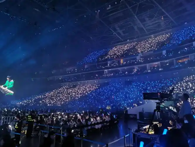 王源演唱会应援棒