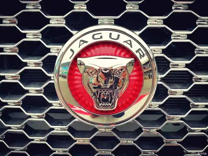 霸气的豹子头,给人一种充满激情澎湃的感觉.