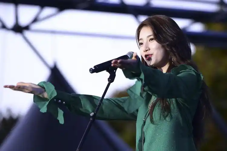 裴秀智音乐节演出高清图片