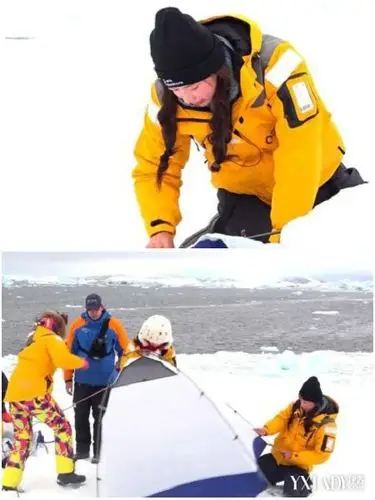 【图】林志玲跪倒冰地搭帐篷 "花样团"登南极挑战"最寒冬泳"