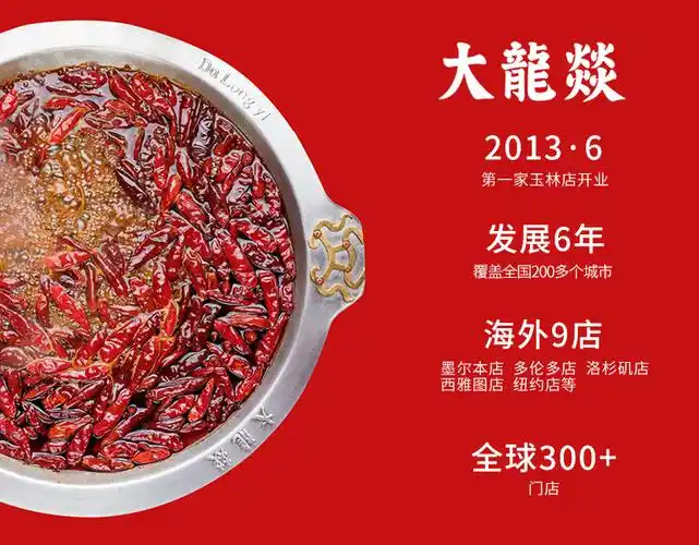 大龙燚自热火锅2盒装 方便懒人自煮网红火锅肉多多 牛多多小火锅_vip