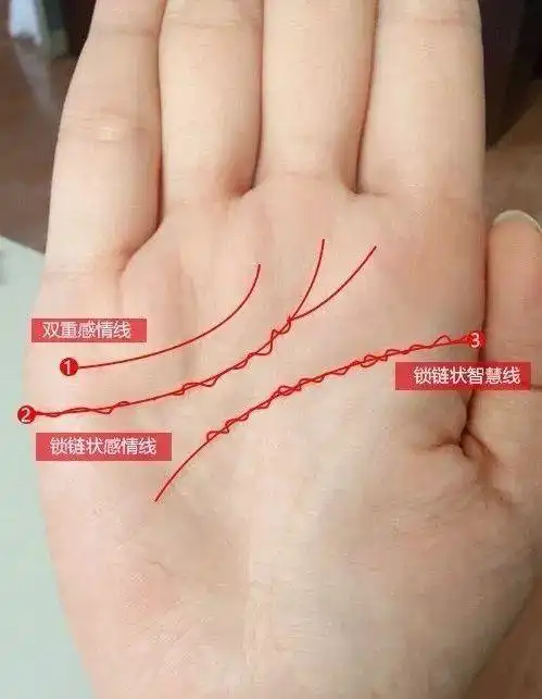 生命线|手纹|掌纹_新浪新闻