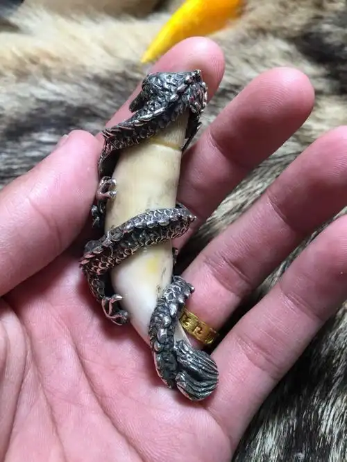 请大家帮忙鉴定下是否为孟加拉虎牙,值多少钱.