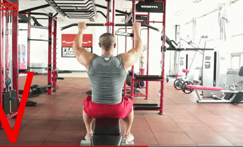 如何练出圣诞树一样的背阔肌,只讲干货_腾讯新闻