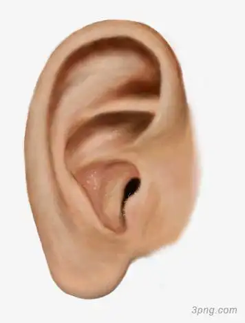 耳朵的照片png素材透明免抠图片-其他元素-三元素3png.com