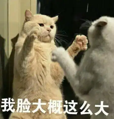 傻逼你打错了,这里是民国表情包 - 表情图